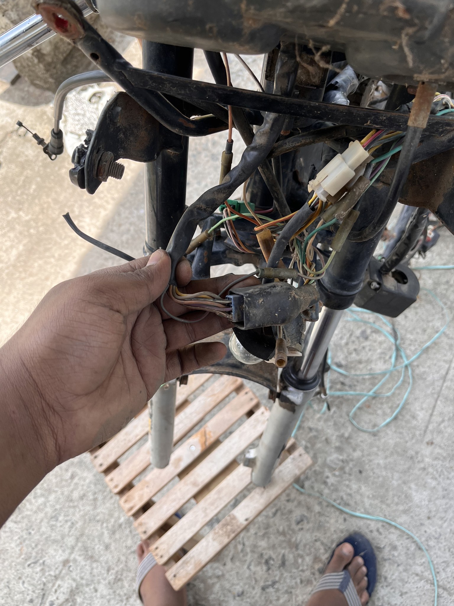 Hand holding wiring connector at bike front