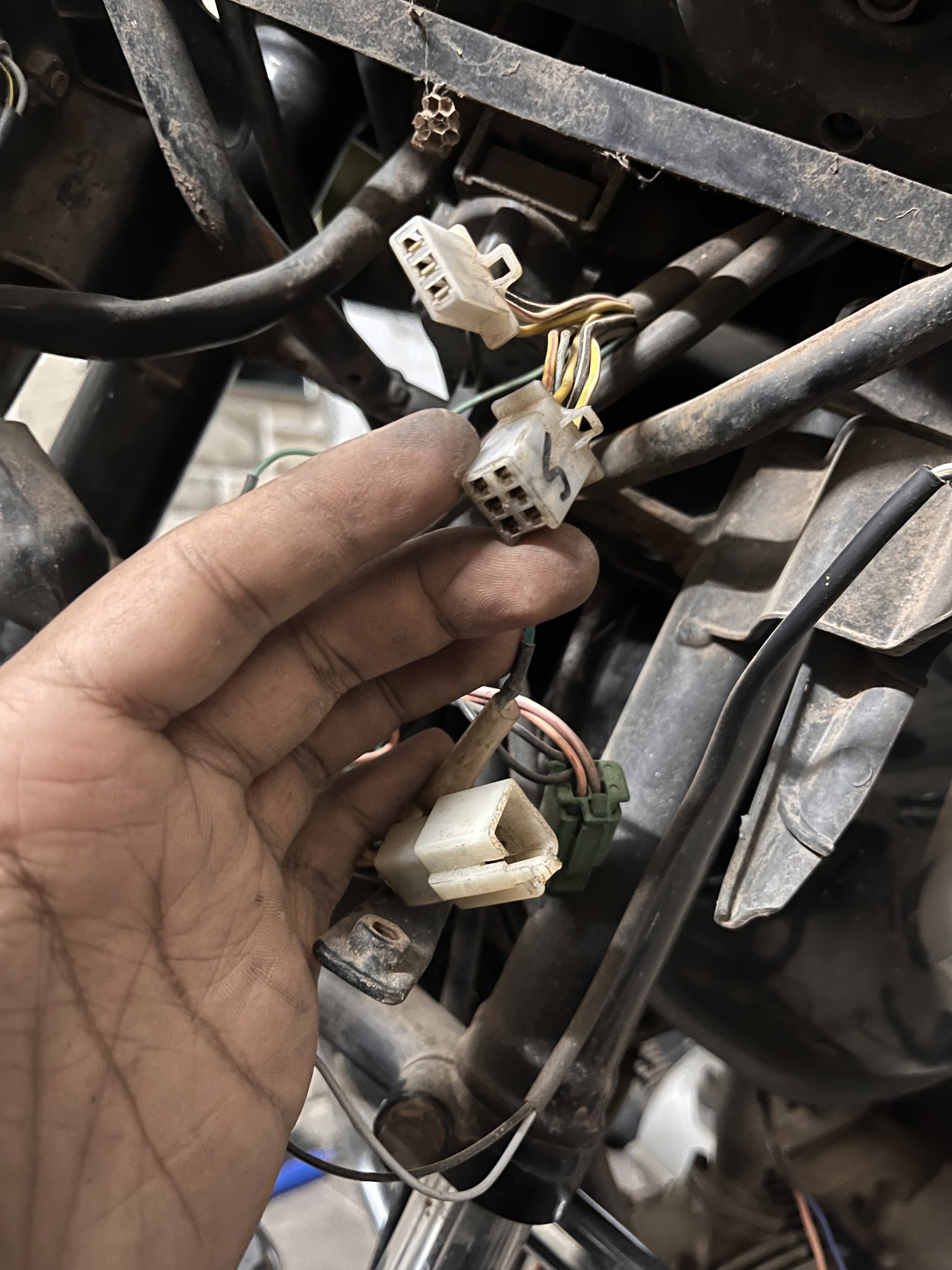 Hand holding wiring harness connectors