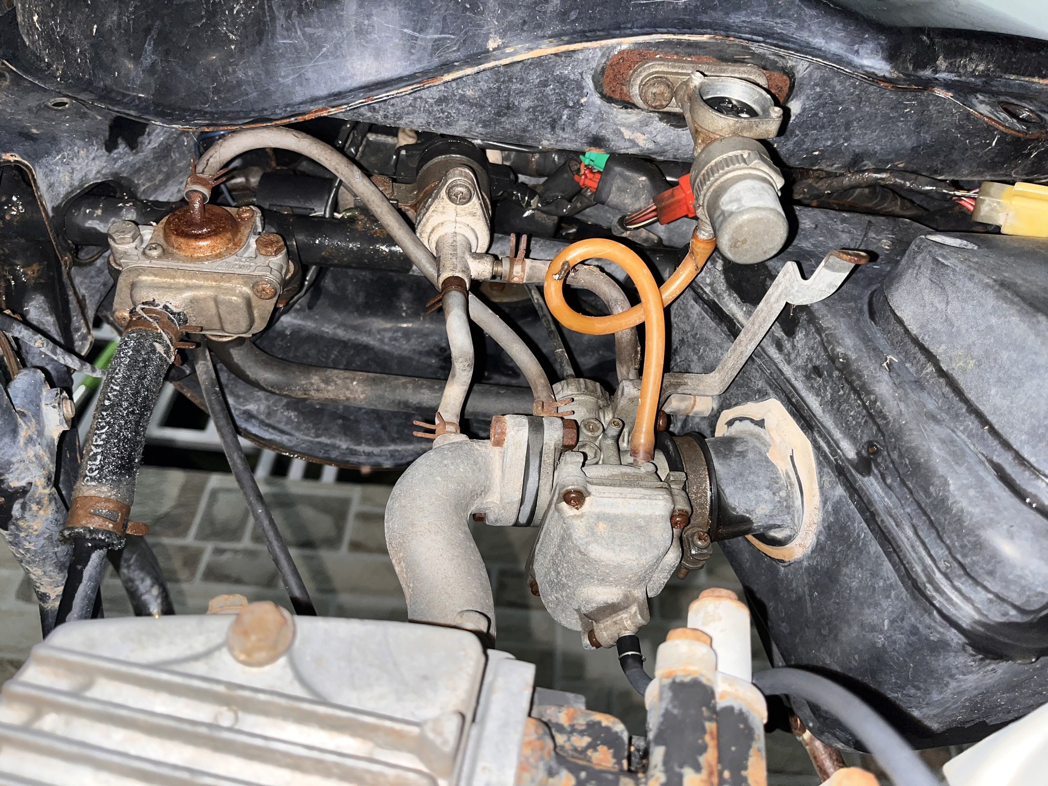 Carburettor and wiring harness detail